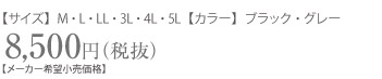 シークレットパワーライン料金